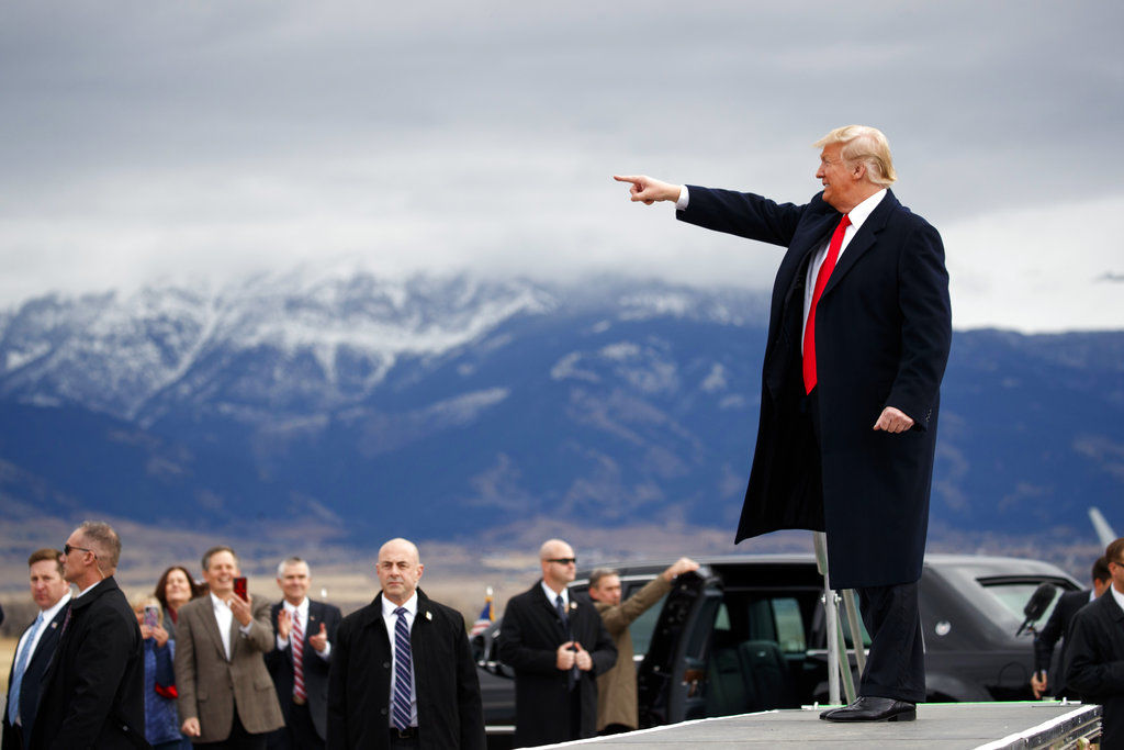 Trump What A Year